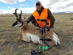 21 Tido 2016 Antelope Buck